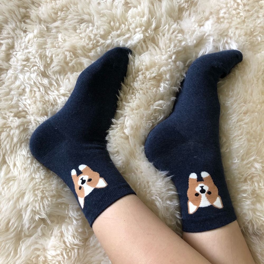 🐶 Corgi Dog Socks - Picture 7 of 8